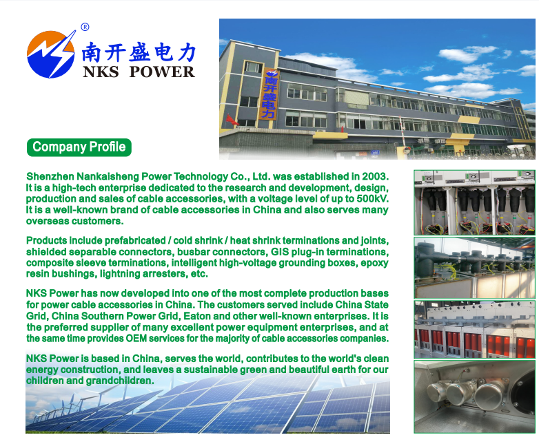 Shenzhen Nan Kai Sheng Power Technology Co.,Ltd