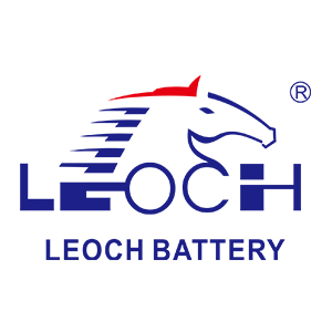 Anhui Leoch Power Supply Corp