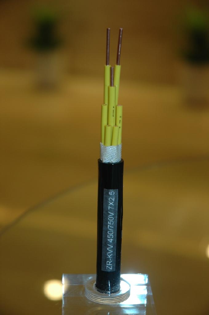 LOW VOLTAGE CABLE