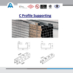 C Profile Supporting System