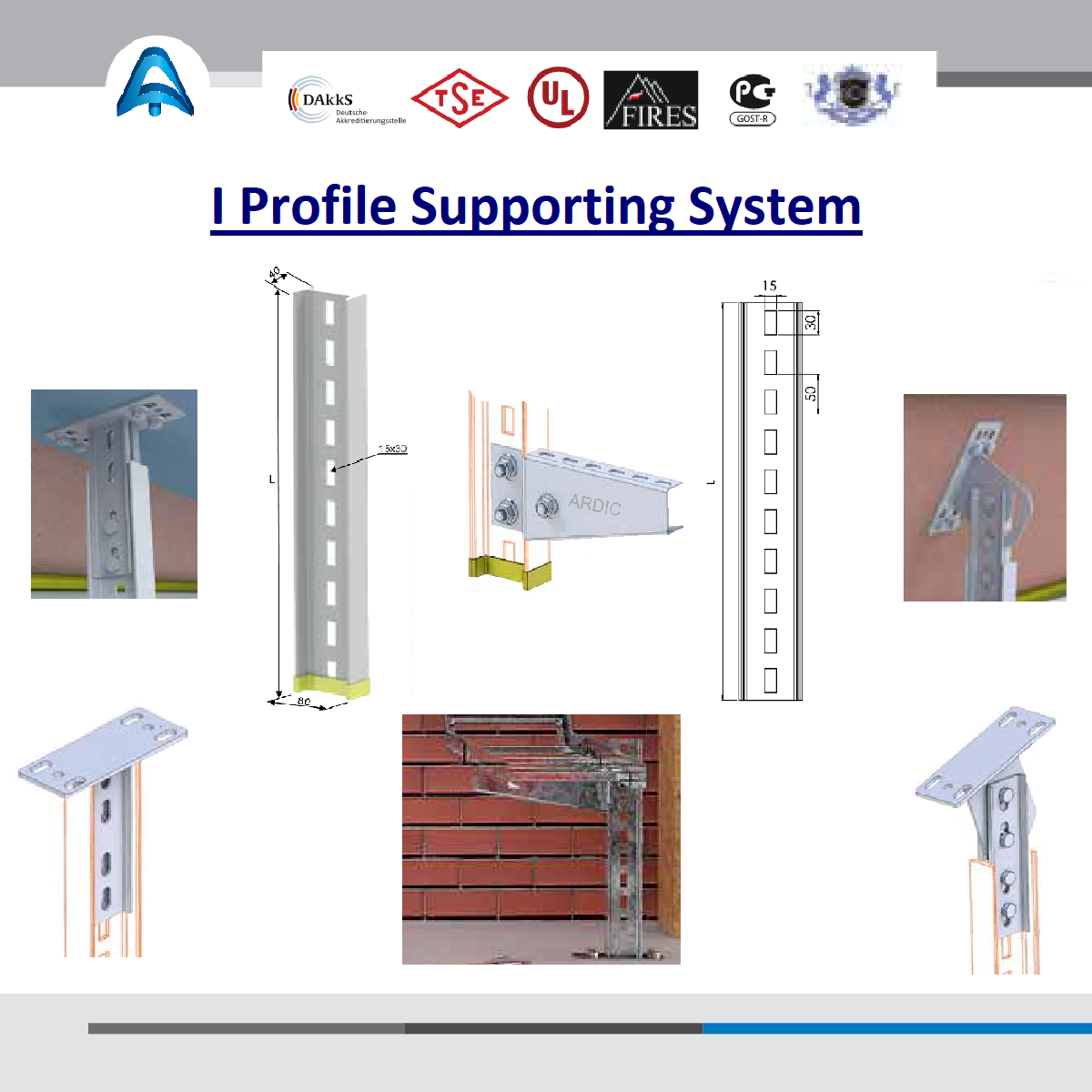 I Profile Supporting System