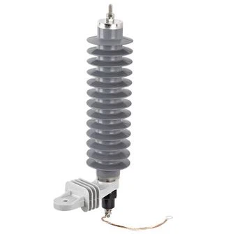Lightning arrester/surge arrester