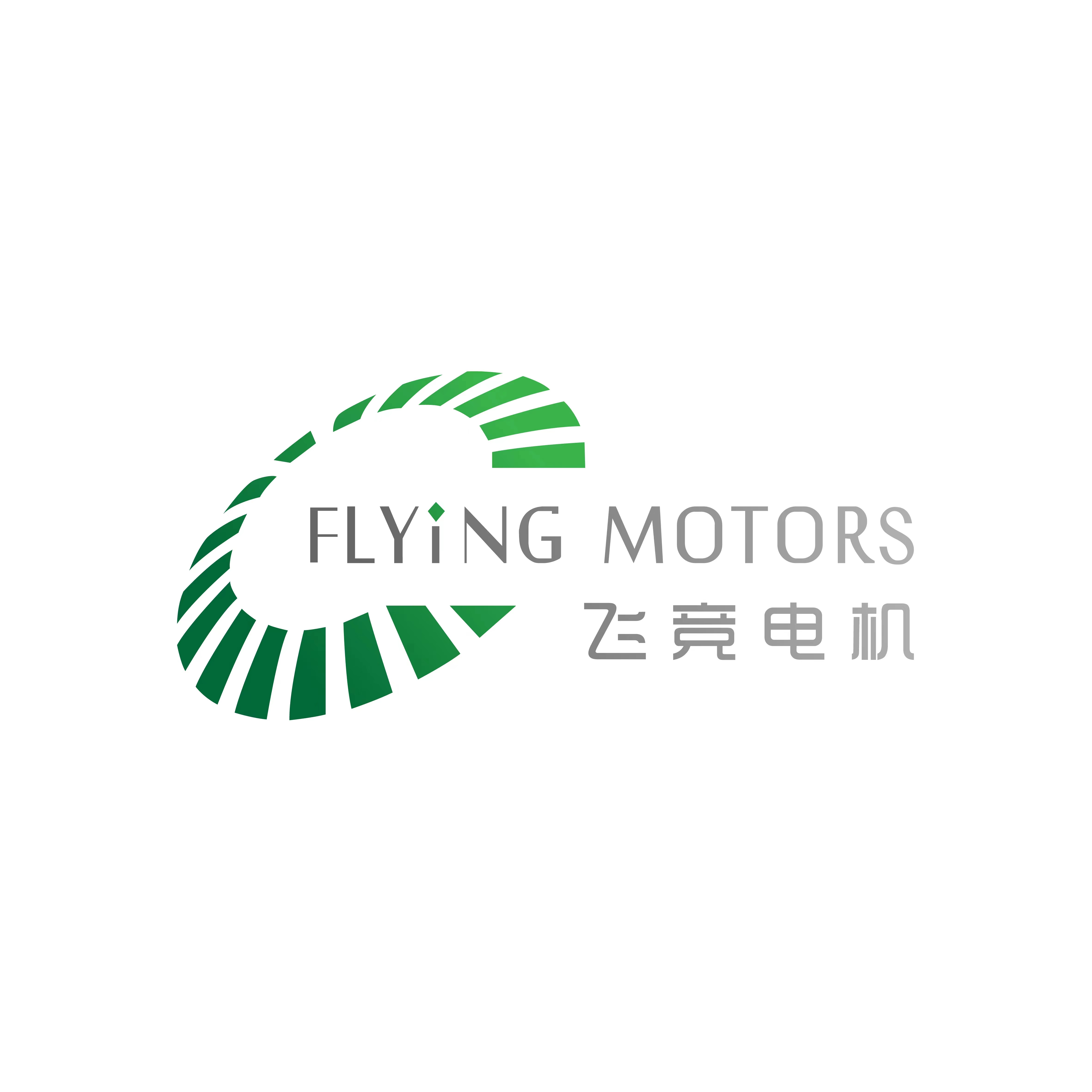 Flying Motors (Shenzhen) Co., Ltd.