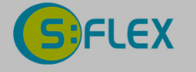 S:FLEX GmbH