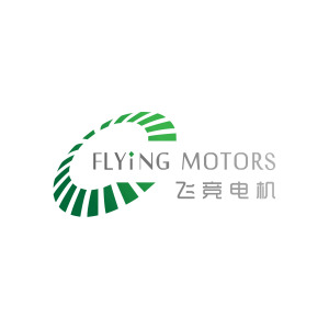 Flying Motors (Shenzhen) Co., Ltd.